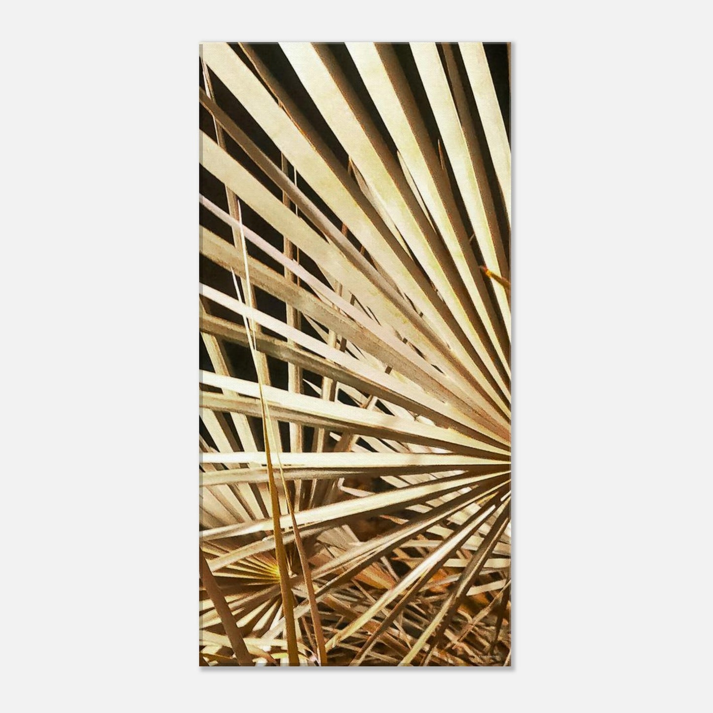 a2c95e04-e2ee-4983-9700-53d84eedb719