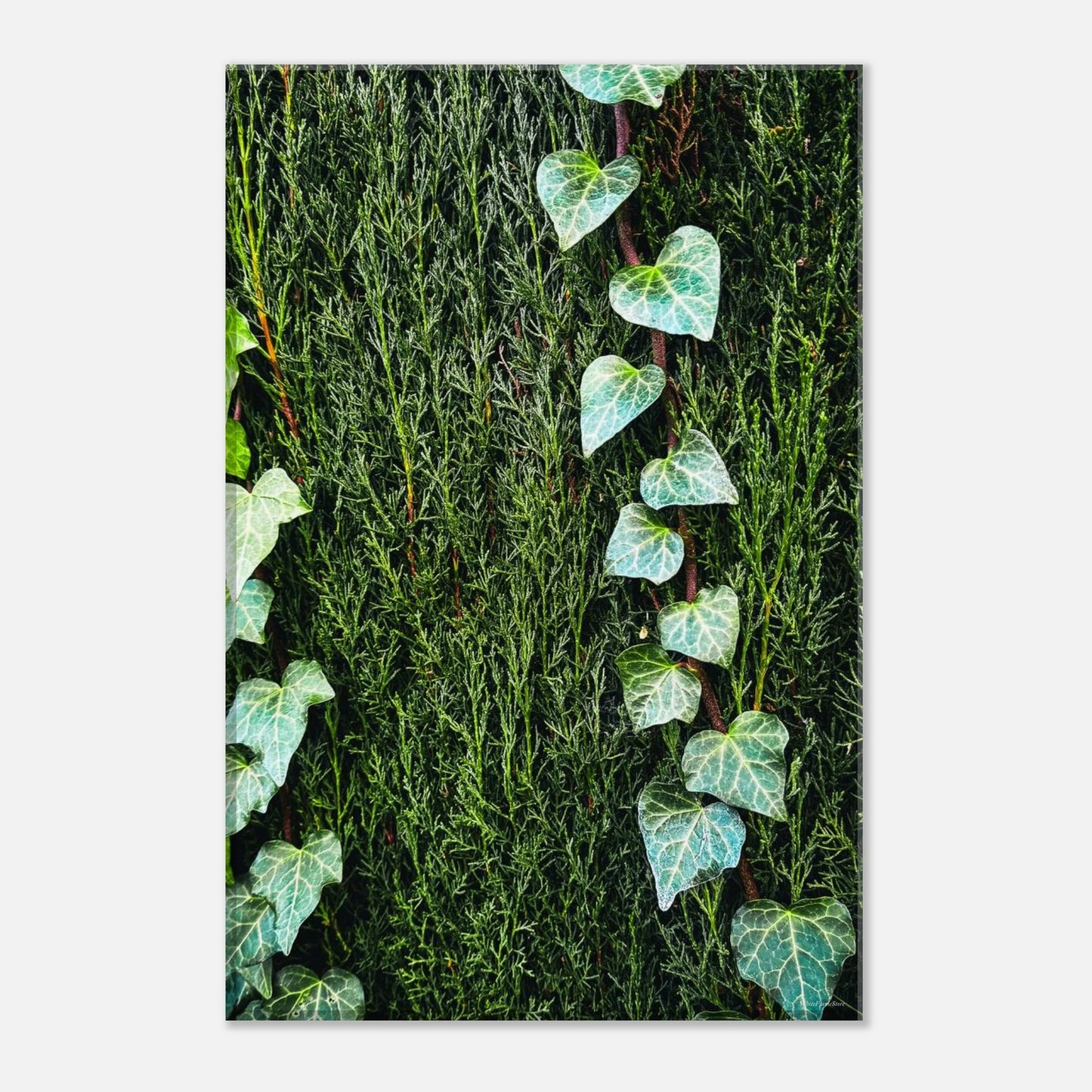 a2eddd51-71e6-4c91-9479-755101026c47