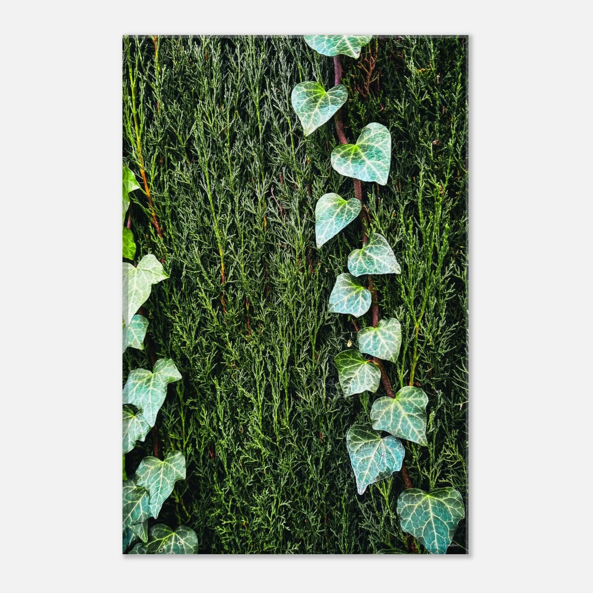 a2eddd51-71e6-4c91-9479-755101026c47