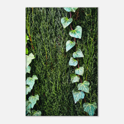 a2eddd51-71e6-4c91-9479-755101026c47