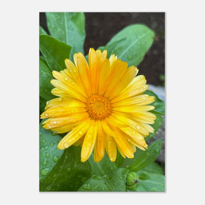 a2f97235-a5ca-479d-bbc1-ba902e8893cc