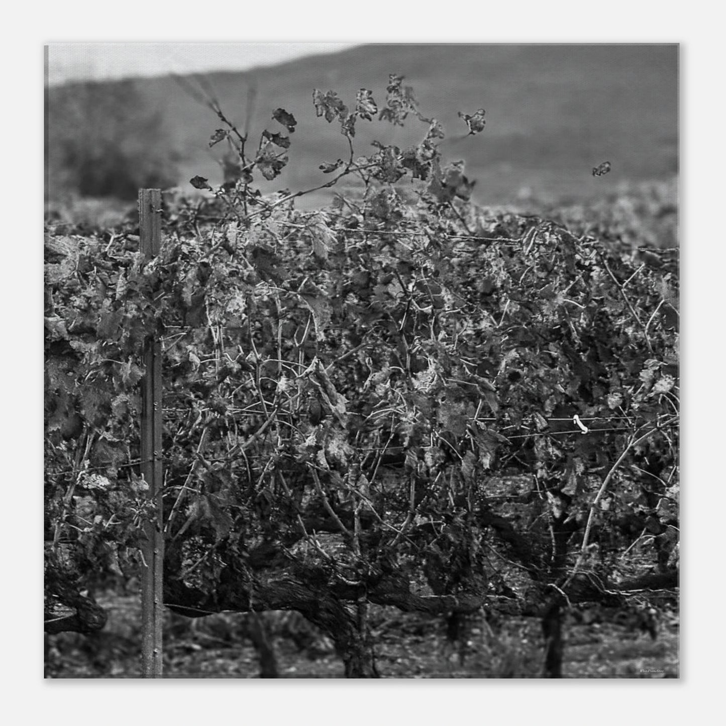 a3052ef7-5f24-48a4-ad5e-430d67076fe8