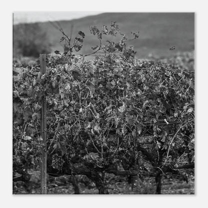 a3052ef7-5f24-48a4-ad5e-430d67076fe8