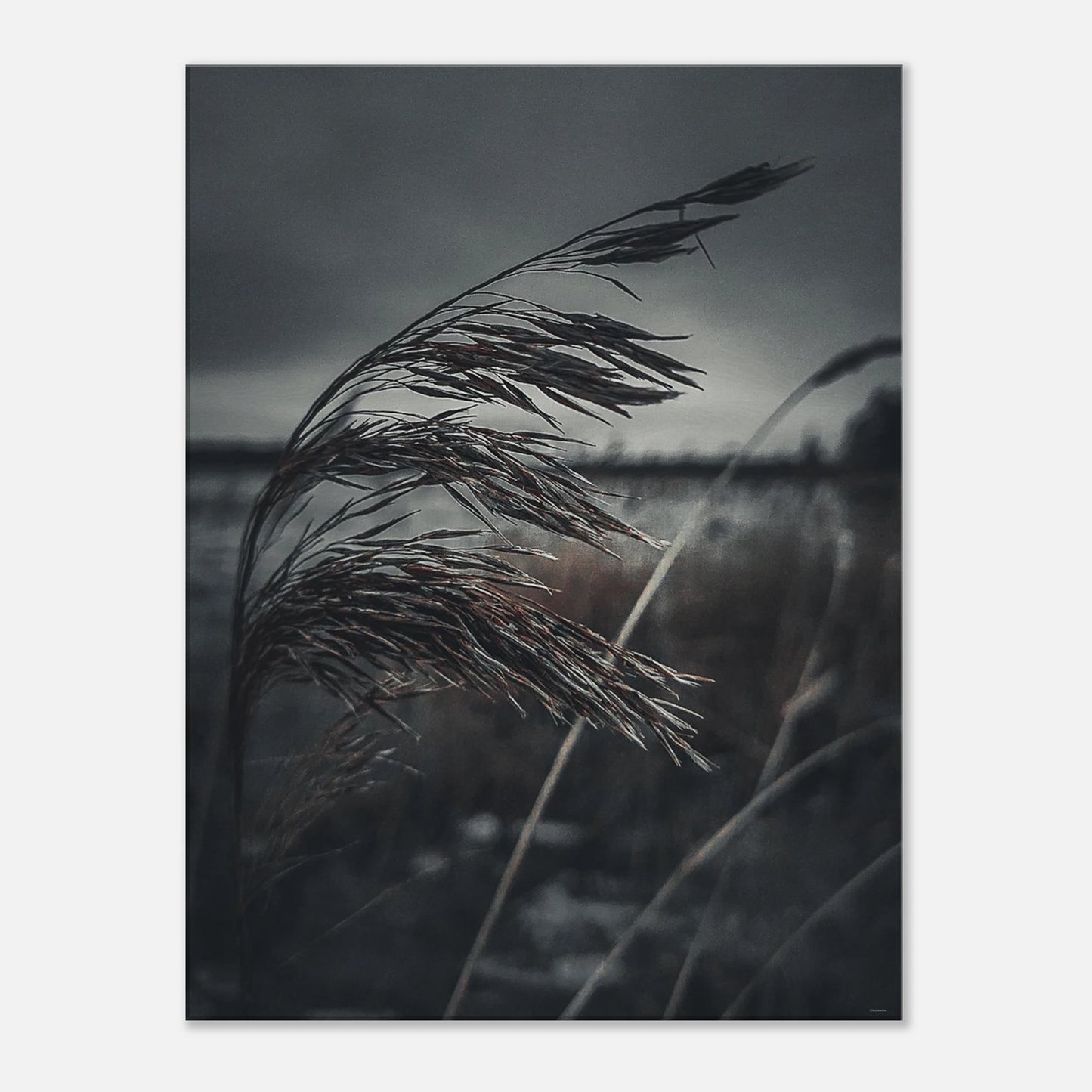 a307edf3-cf7b-45d6-aa1f-2f65f50926dc