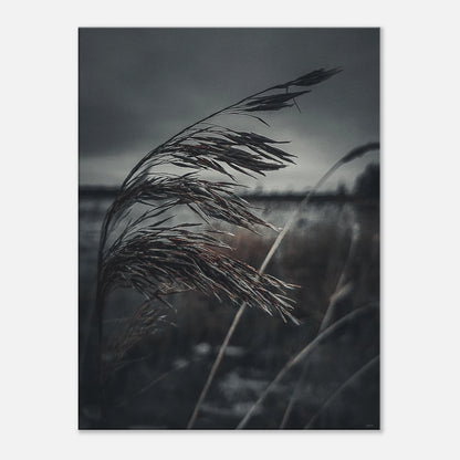 a307edf3-cf7b-45d6-aa1f-2f65f50926dc