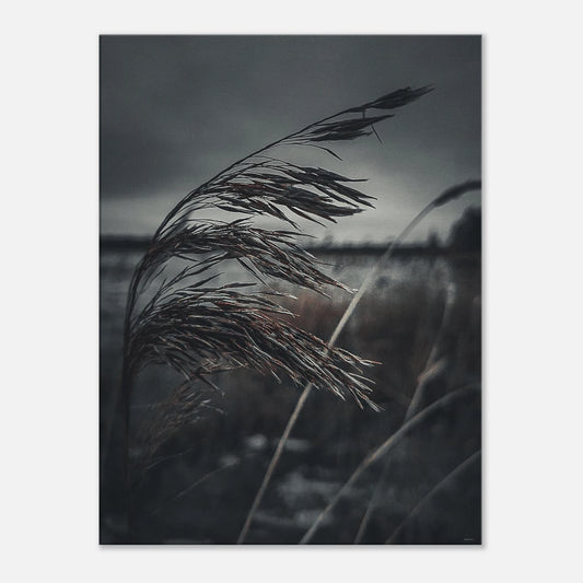 a307edf3-cf7b-45d6-aa1f-2f65f50926dc