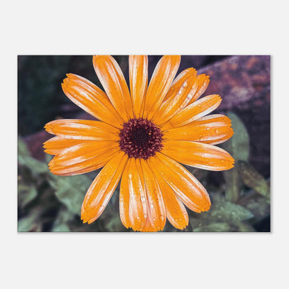 a309b6ac-de71-4623-81fc-7cfe48f484c7