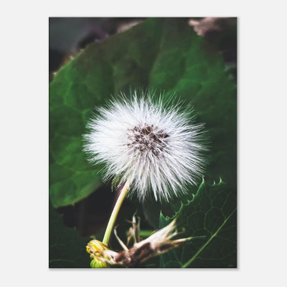 a31e0ebc-618e-4f50-b431-d7a0a2de4bf3