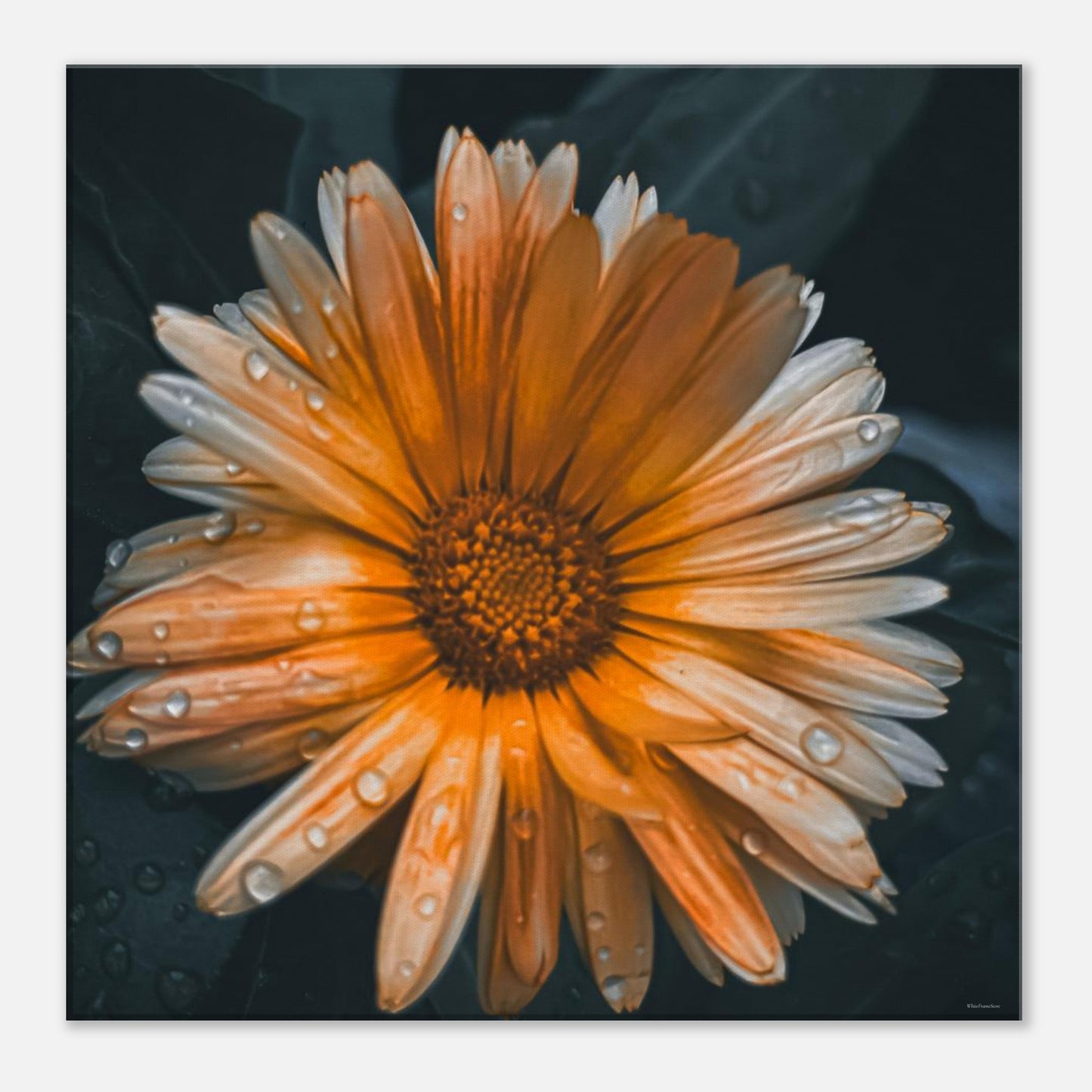 a3223f08-b9f8-4548-aef0-0547c1669cca