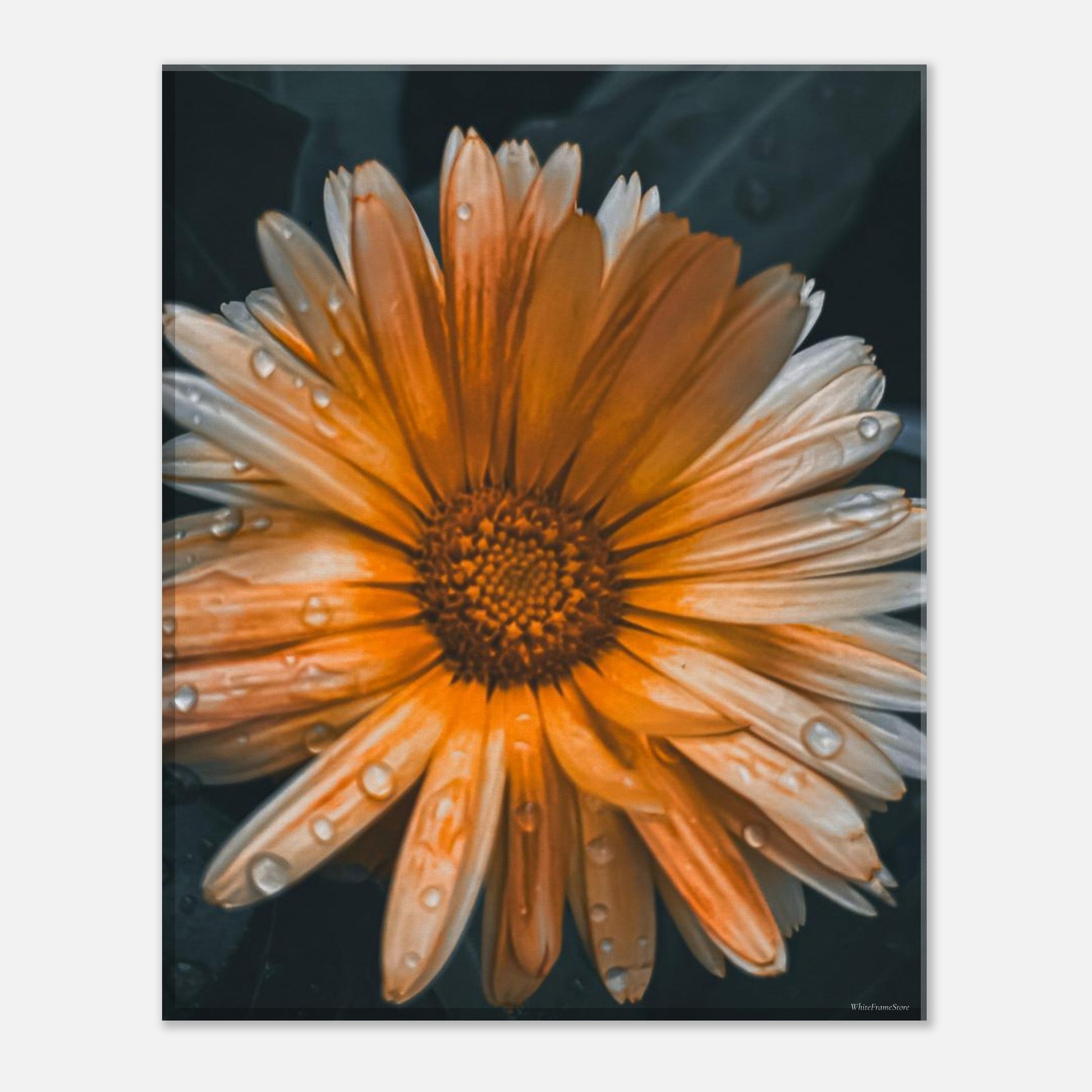 a3560c78-2b75-4aba-829d-b8bde571baa7