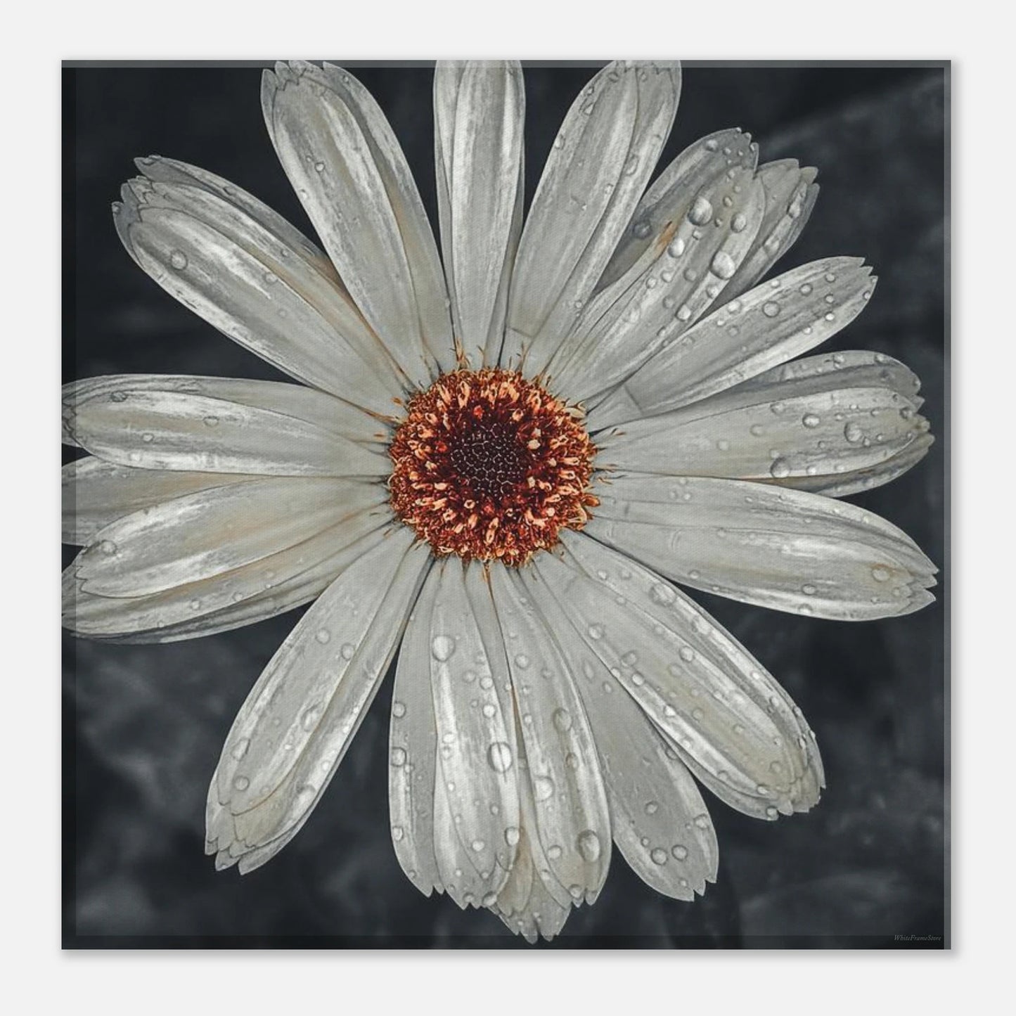 a36757ba-6e75-452d-819e-75bcbedf98ea