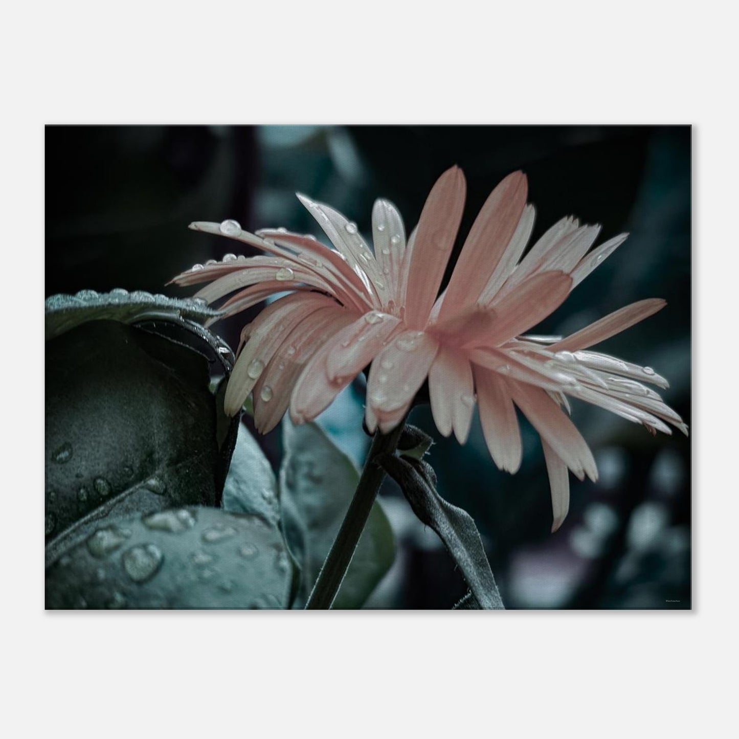 a379ffd7-6bb5-4b83-8bb5-05c77a22fa0b