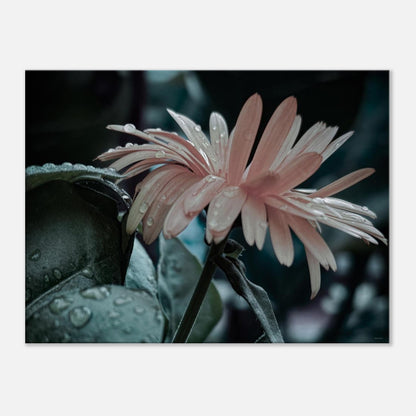 a379ffd7-6bb5-4b83-8bb5-05c77a22fa0b