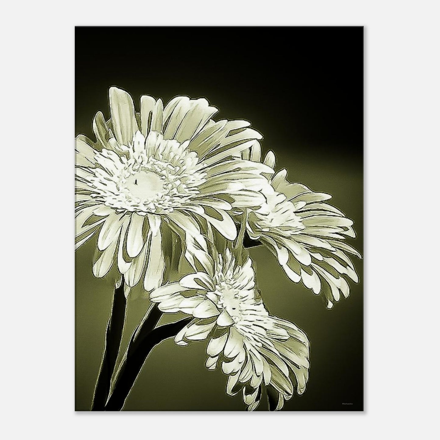 a37b3f11-0298-4ea8-bccd-33a863337b0a