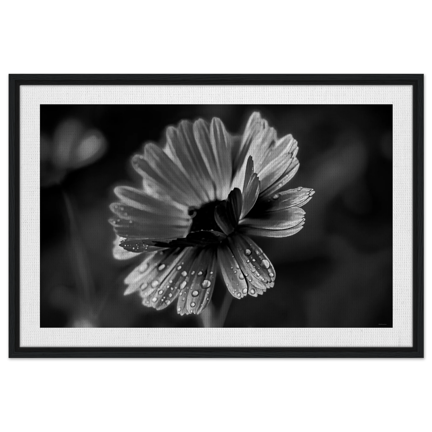 a383060f-1a32-4a0c-b915-40d1409da591