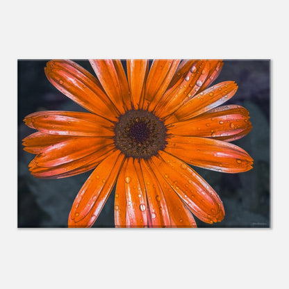 a386b873-2b89-4849-8e6e-62fcf1a3ebed