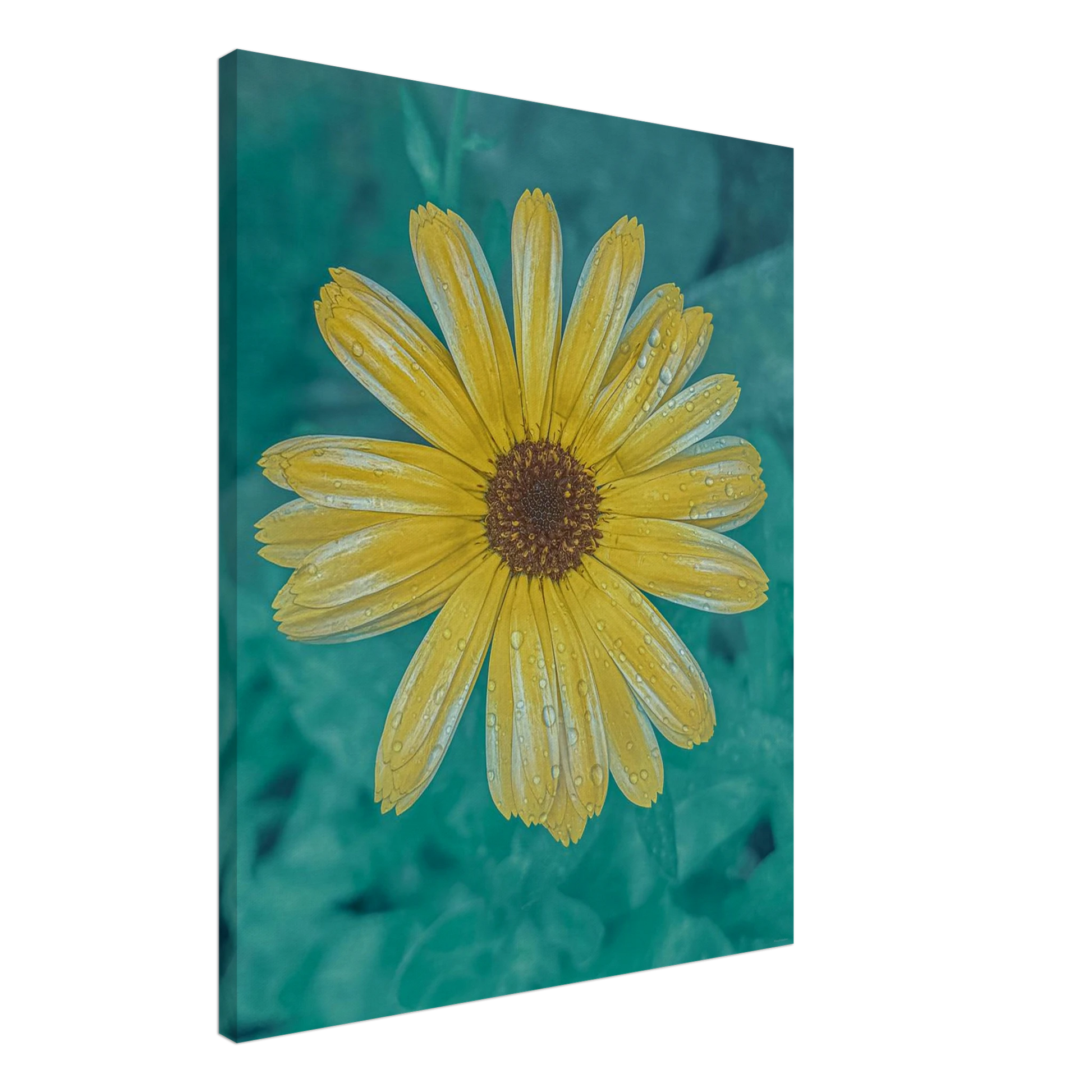 a3b90f45-715f-4813-867f-0277cfb7e7e1