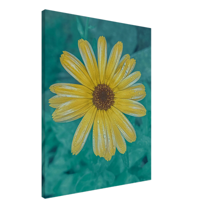 a3b90f45-715f-4813-867f-0277cfb7e7e1