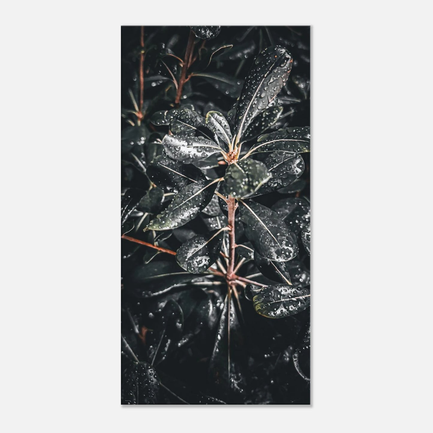 a3d0aa51-60cb-4c1f-a165-880f45e999ad