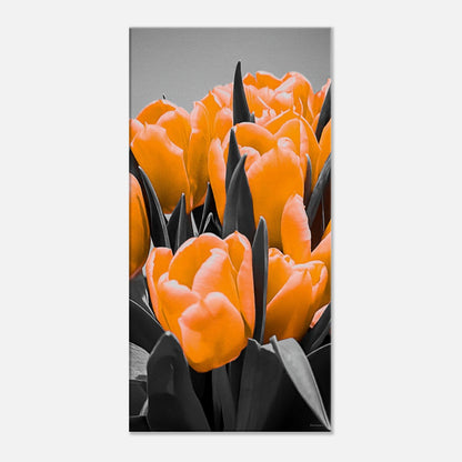 a3d0ca6c-a883-4263-8d4e-faf6f66ed777