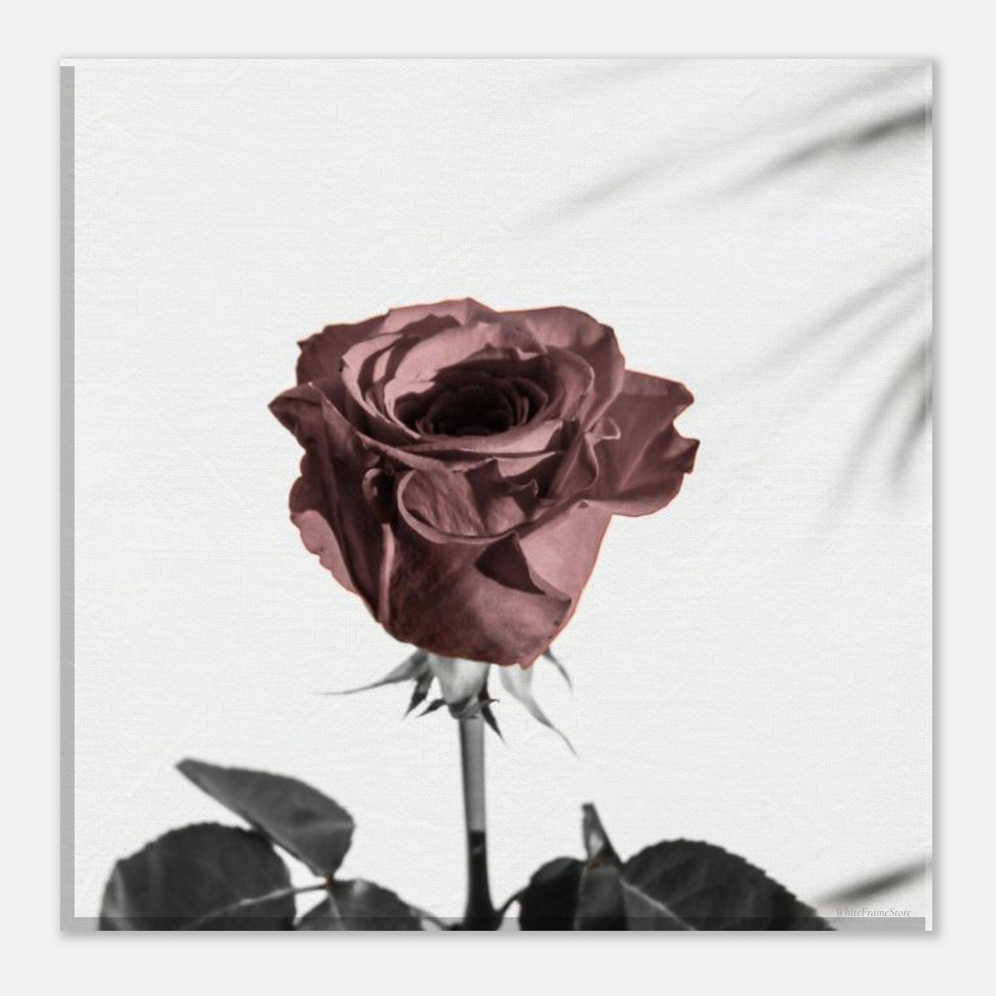 a3f62b1a-6409-4b18-a03c-2a6e181a006c