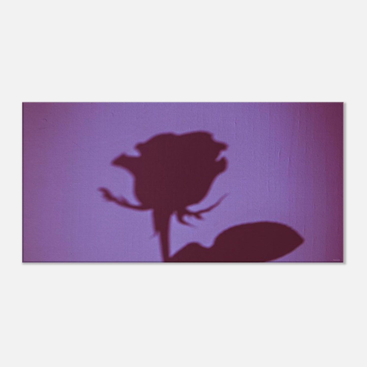 a41d17b4-e9dd-4c61-a99c-c795d4646a32