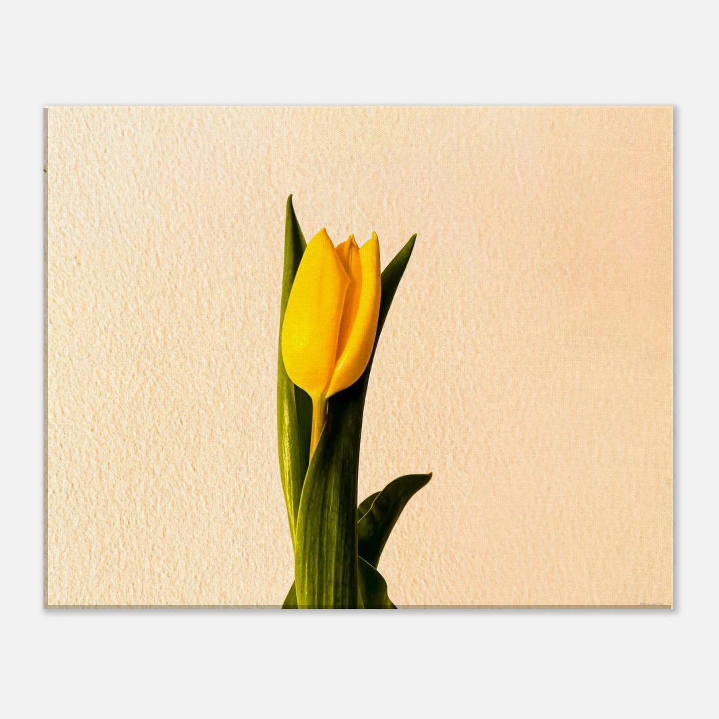 a42e344b-6069-4213-9919-26ad710d7cd5