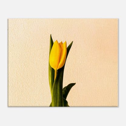 a42e344b-6069-4213-9919-26ad710d7cd5