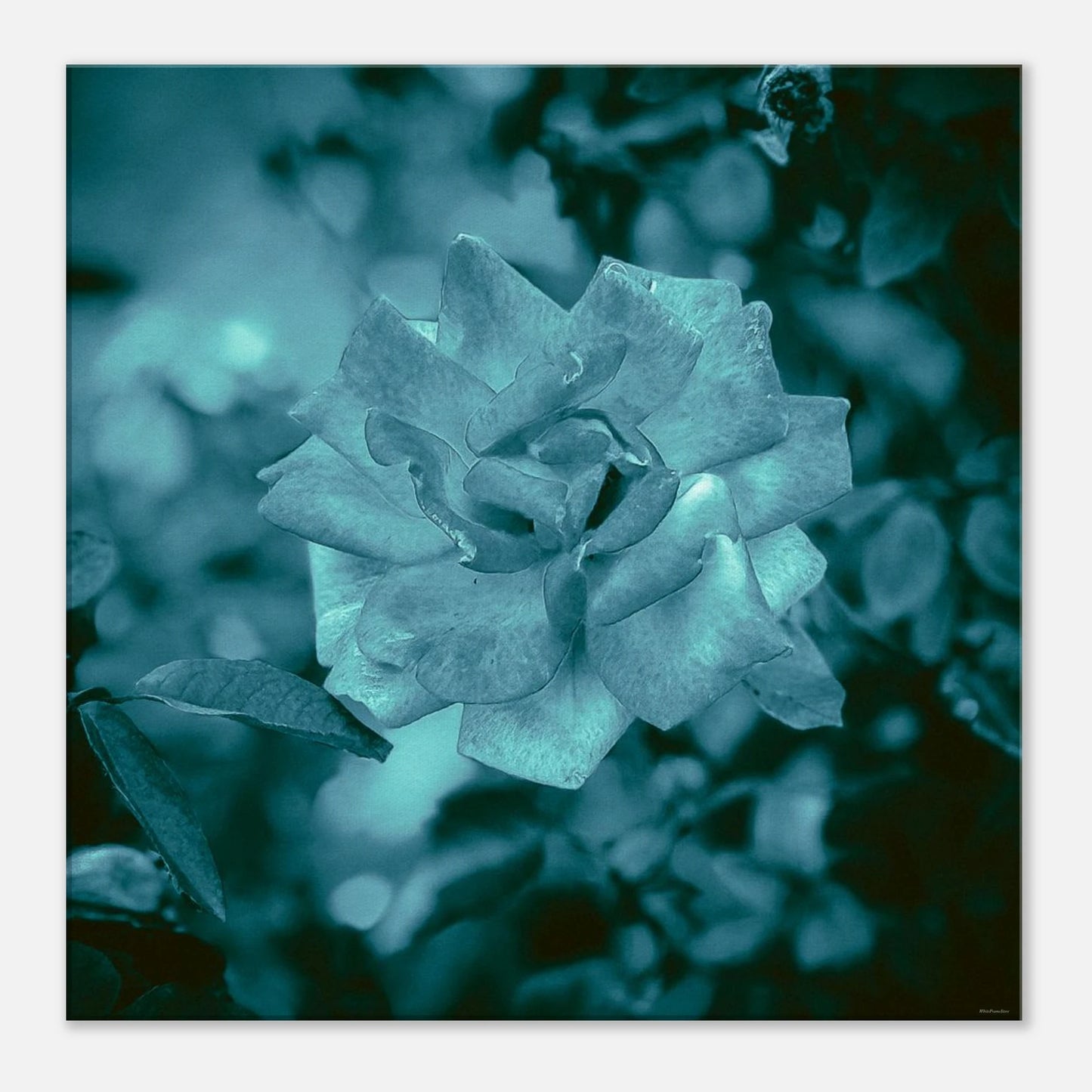 a463576d-e486-4759-a85c-d5a181850d0e