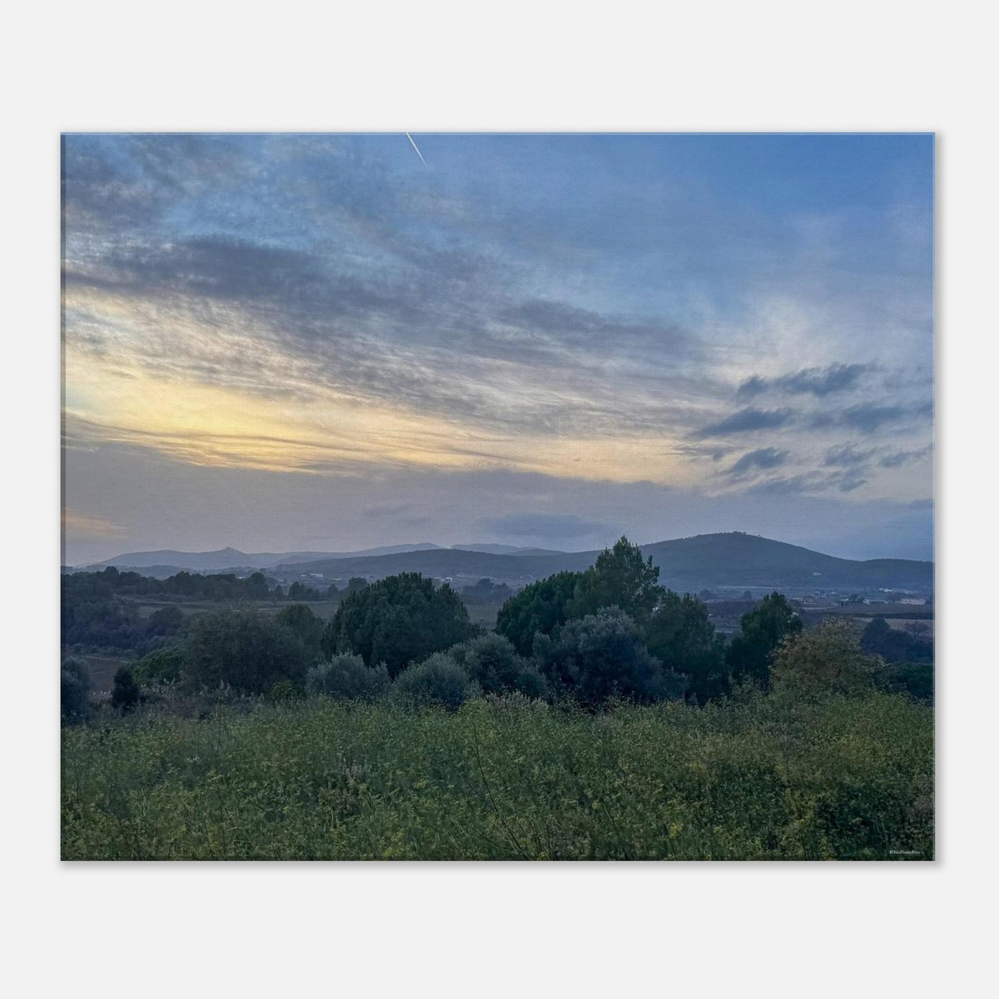 a46b9500-db46-43fe-9bc0-358f0aa98ed2