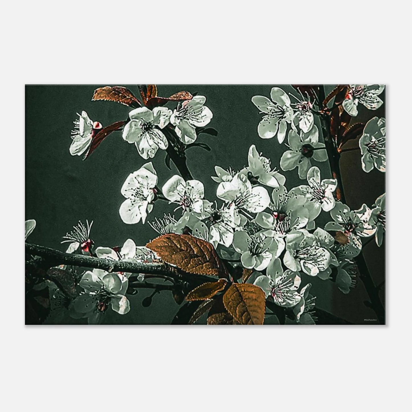 a4be401e-ab25-46ed-85e8-79cd45475d66