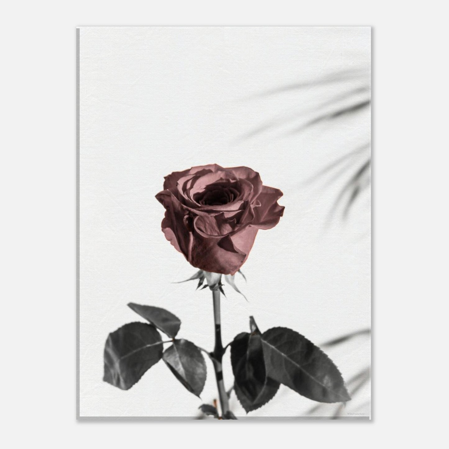 a4bf4ab1-7d6b-4b8f-9082-f872c5bfb146