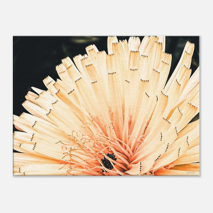 a4efe2f5-78ab-4a16-9c44-65cee6758ae0