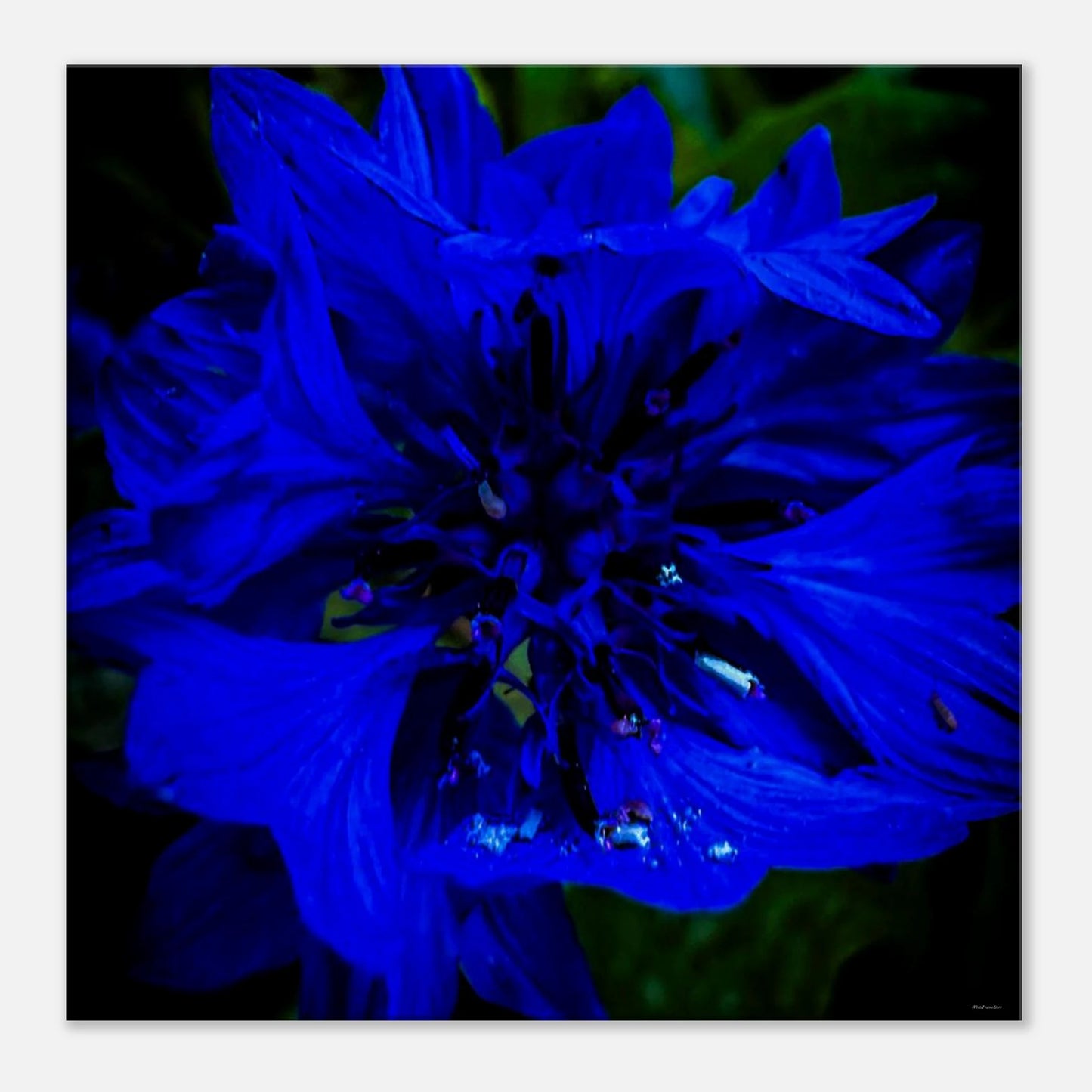 a5125962-ac03-4658-b157-92afd4c0df42