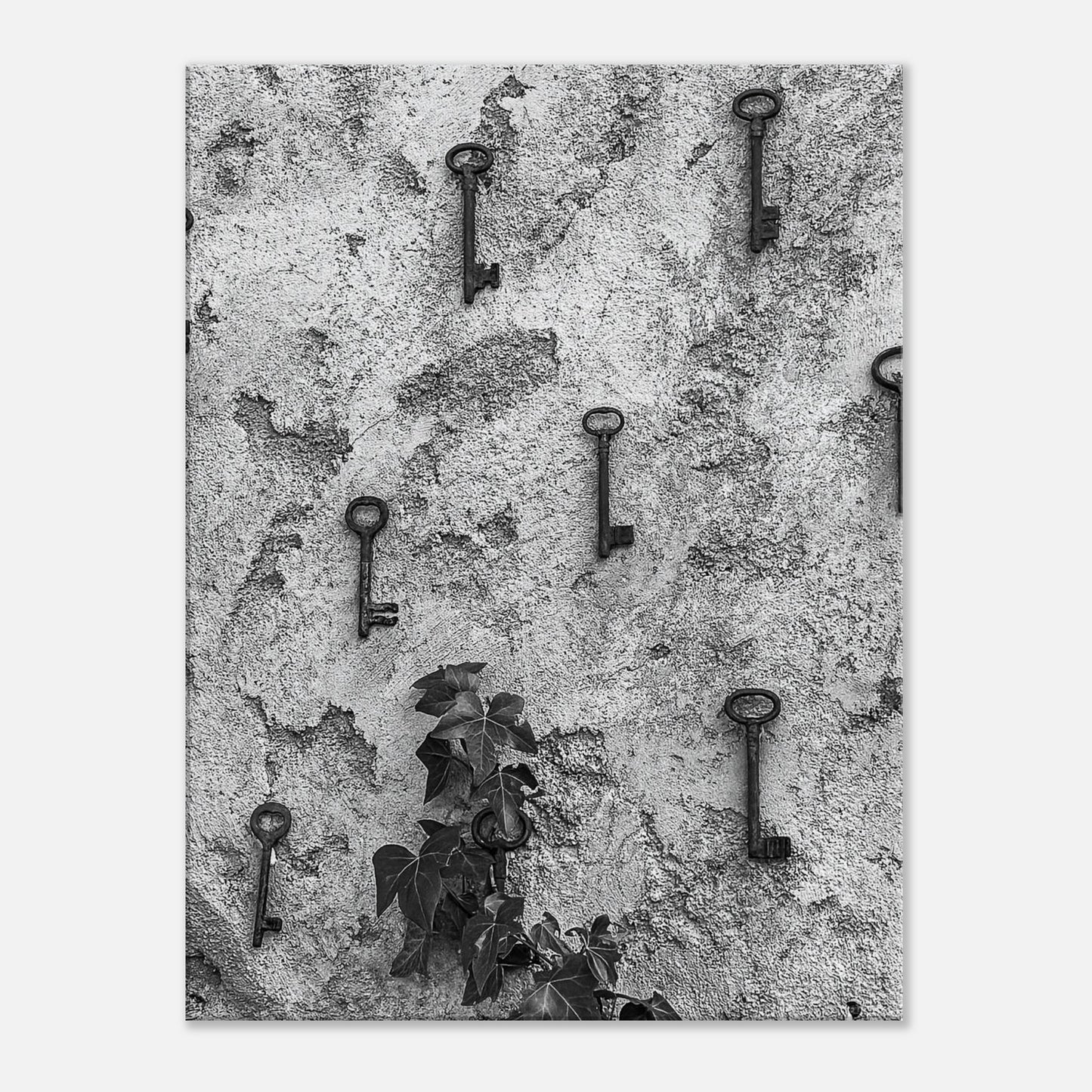 a51523d4-9e80-4607-aeb2-9197c6acf9a2