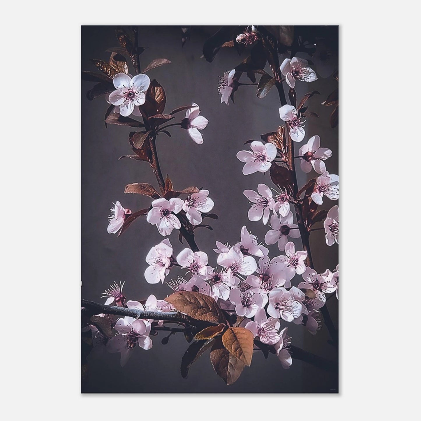 a56b3cab-4449-49df-9181-ca9dc622ac3c