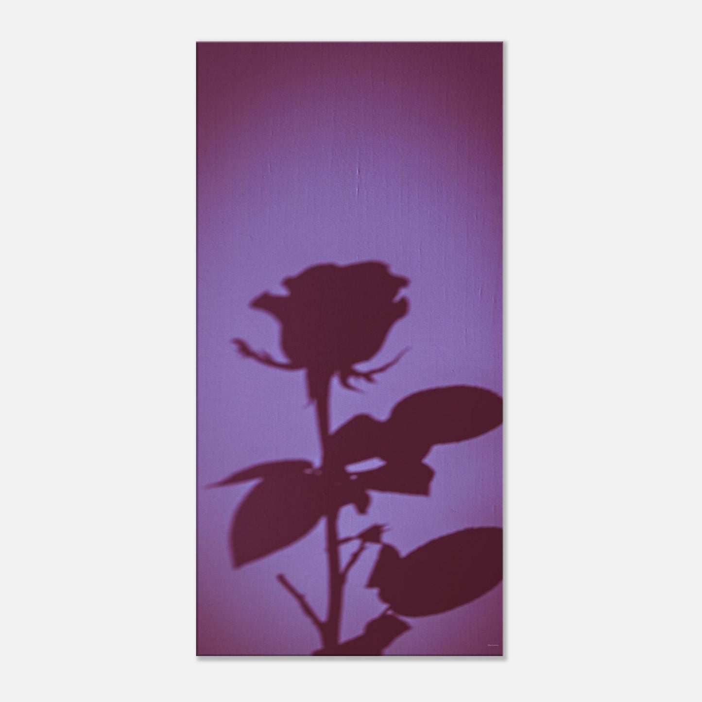 a589ff04-c79b-4954-a2f8-90c575db2ee8