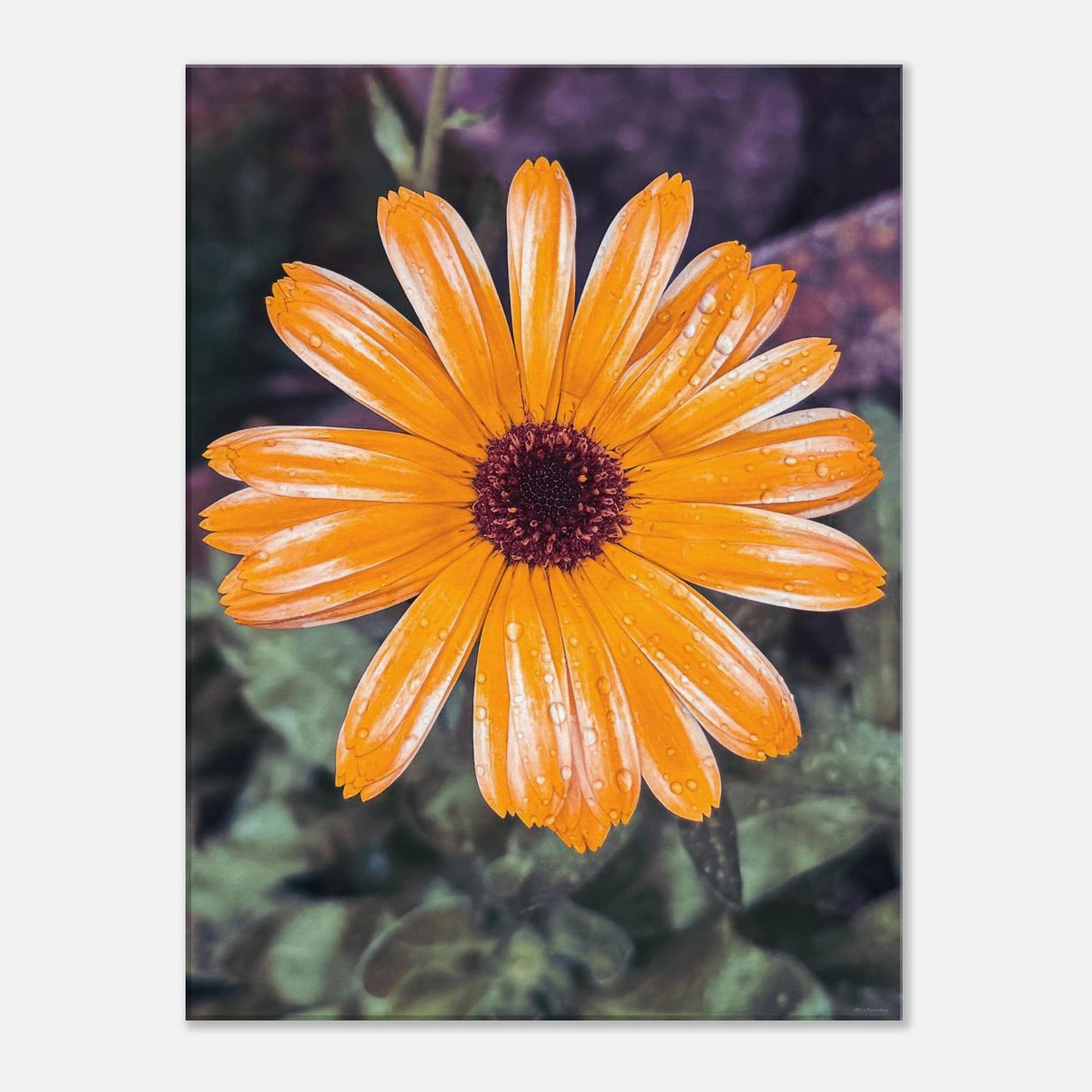 a59c998b-a827-4cf6-a418-6d7c78ffd298