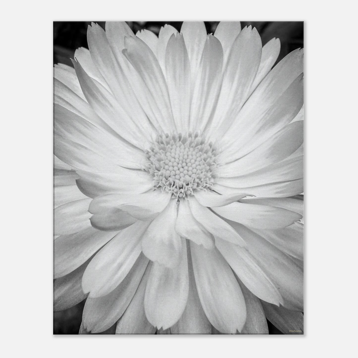 a5a5d0eb-91d3-40d7-9cac-bd694f511bcc