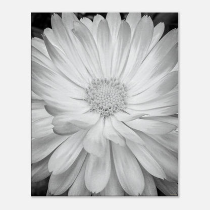 a5a5d0eb-91d3-40d7-9cac-bd694f511bcc