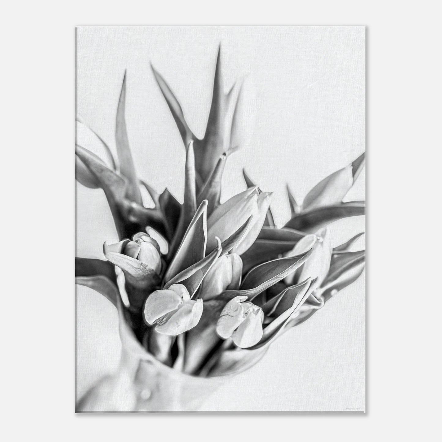 a5b72be2-2c11-480f-9c77-be9a7264426a