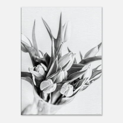 a5b72be2-2c11-480f-9c77-be9a7264426a