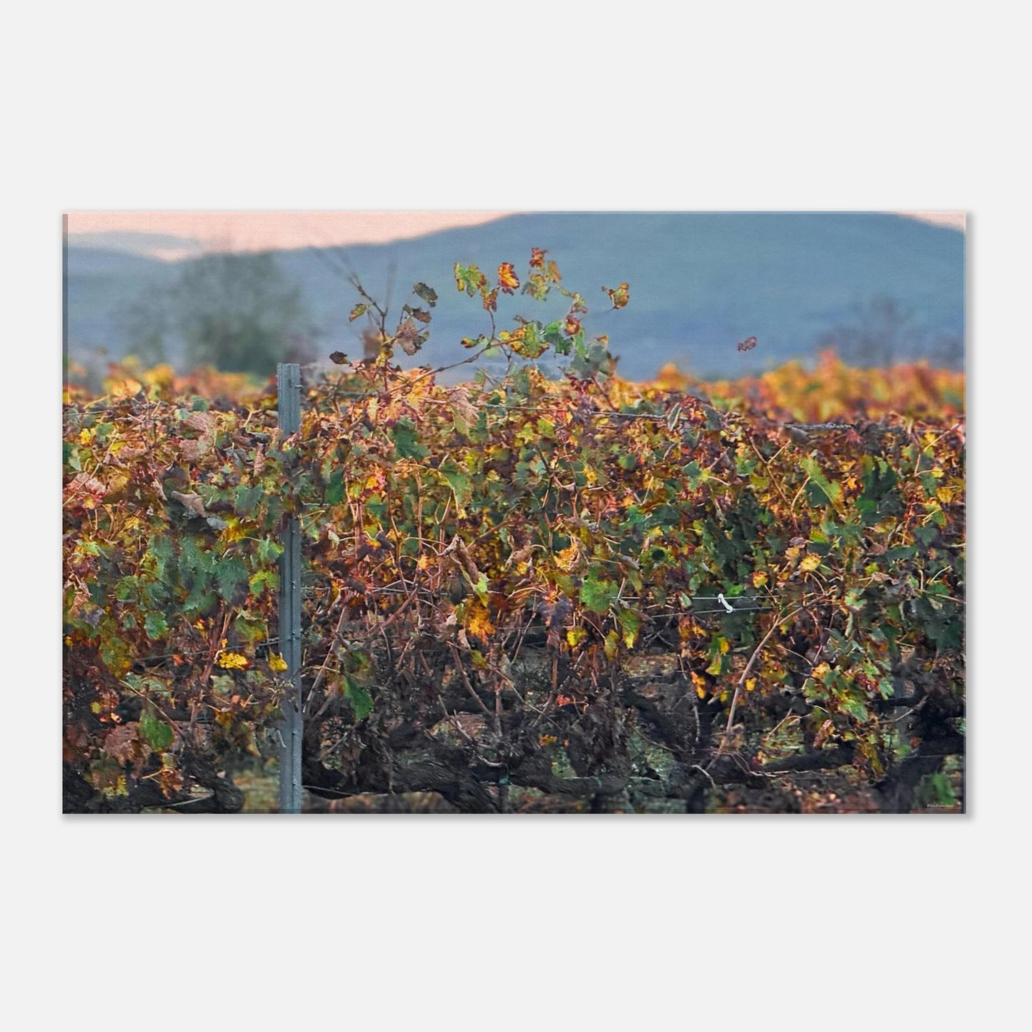 a5c238ba-8ec3-4425-b756-64599060da3f