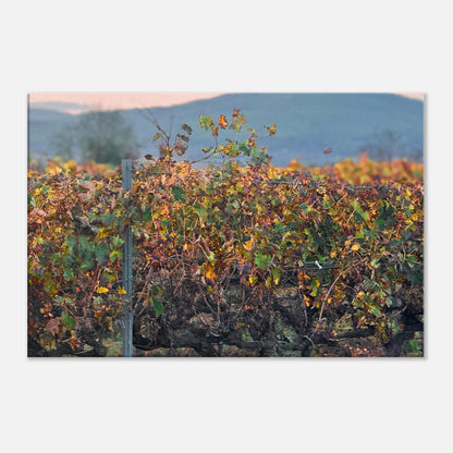 a5c238ba-8ec3-4425-b756-64599060da3f