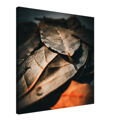 a5d085cd-c9e0-4915-b147-5f33ff7e7e79