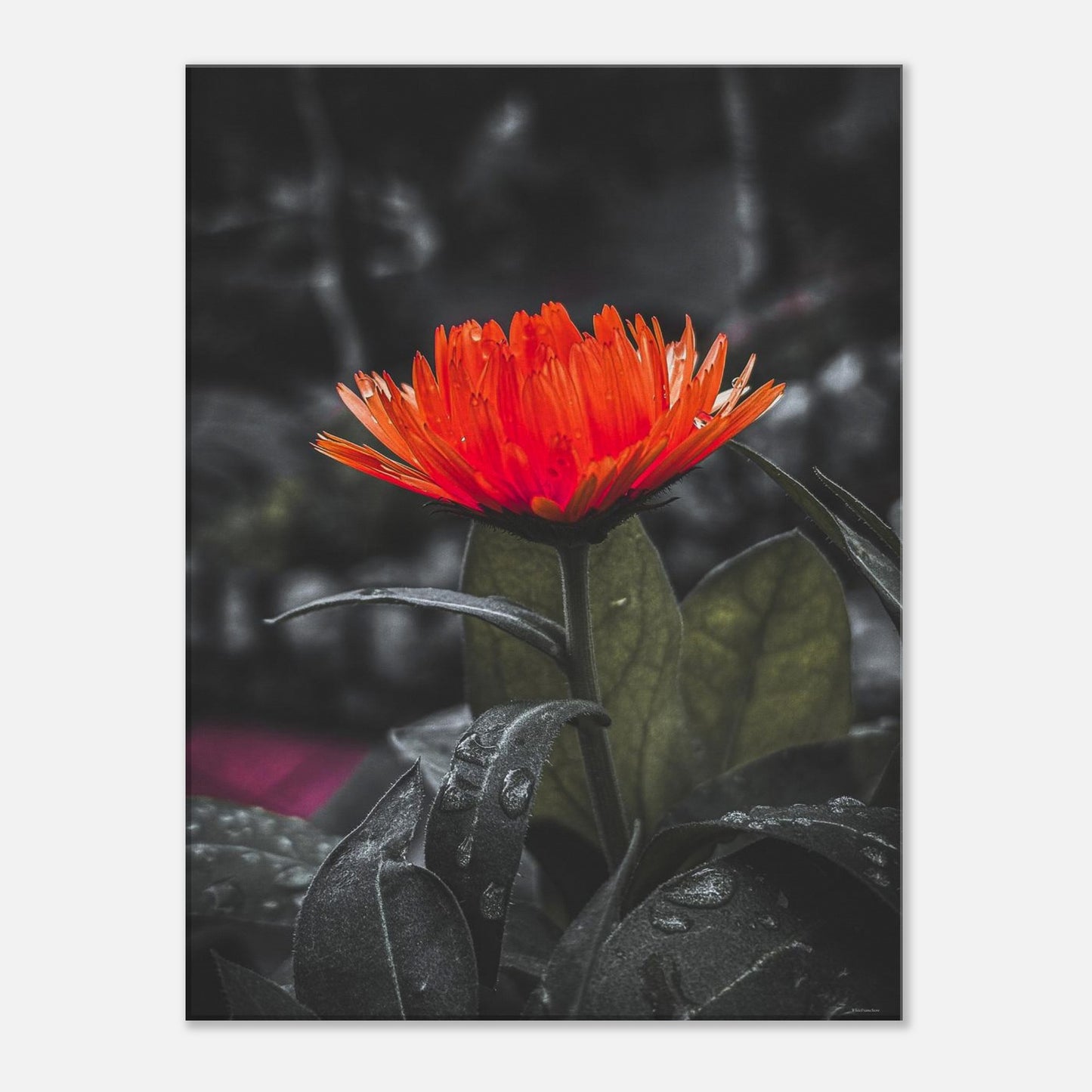 a5d3f90a-03a9-4934-b29b-5f8c2f48fb99