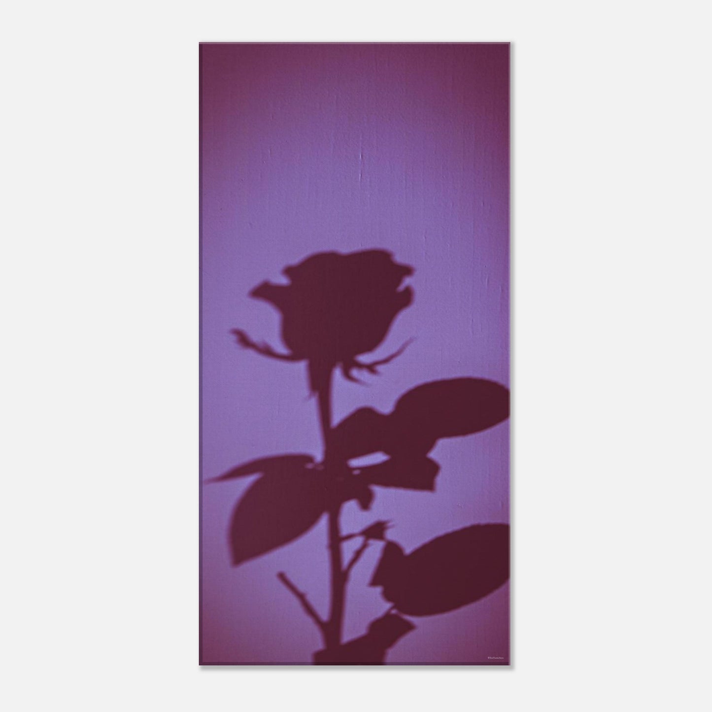 a5e2feaa-17be-4461-9b9d-9ca278f1edf0