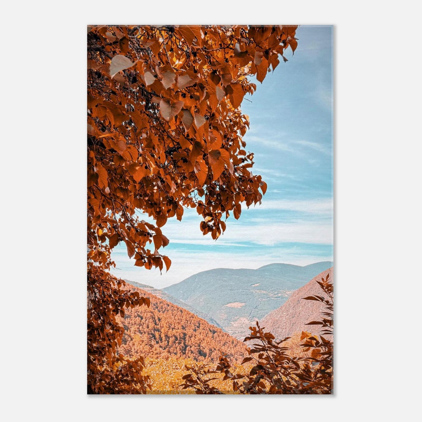 a5e57ef3-8db3-4f48-9cc6-a12ef8baa9e6