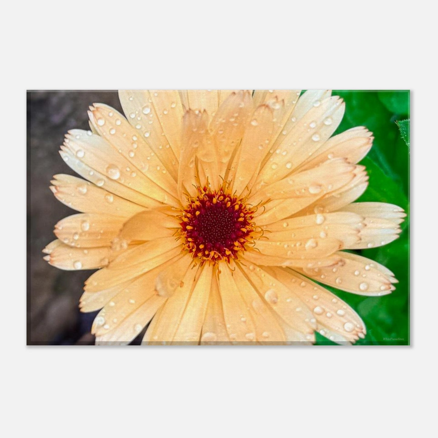 a6076292-604d-4c34-ab56-923be5daed40