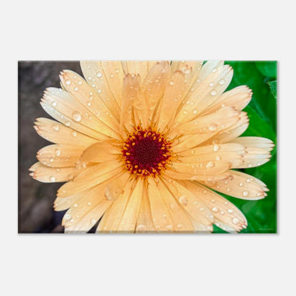 a6076292-604d-4c34-ab56-923be5daed40